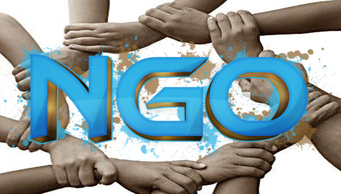 NGO Partnerships